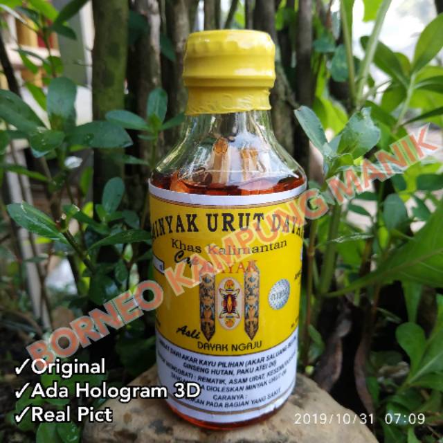 Minyak dayak original - minyak urut dayak Cap Tameng Dayak ( ACL )