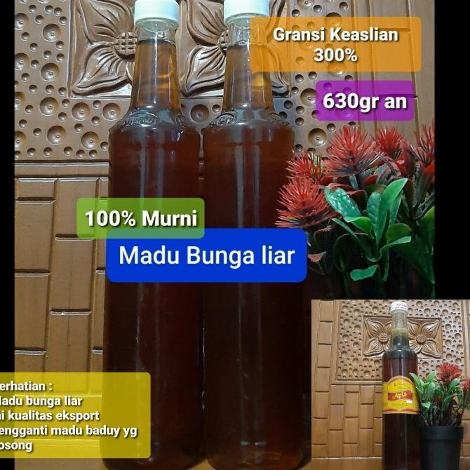 

BAYAR DITEMPAT MADU HUTAN BADUY ASLI DAN MURNI/MINUMAN COLLAGEN/MINUMAN YOYIC/MINUMAN DIET/MINUMAN PEMUTIH BADAN/MINUMAN KOREA/MINUMAN KEMASAN/MINUMAN KALENG/MINUMAN KOTAK/MINUMAN SEHAT HERBAL/MINUMAN SEHAT UNTUK TUBUH/MINUMAN SEHAT ORGANIC/MINUMAN SEHAT