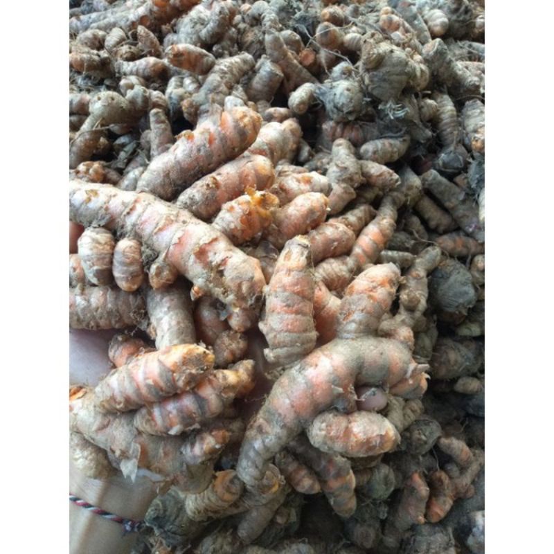 

5kg Kunyit fresh asli petani / Kunir / Empon empon / rempah rempah