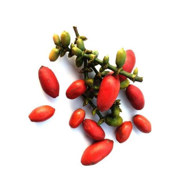 

KULIT MELINJO SUPER SEGAR 100gr