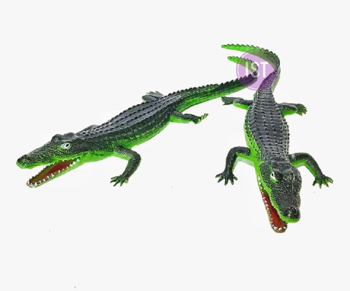 Crocodile Buaya Bunyi Karet