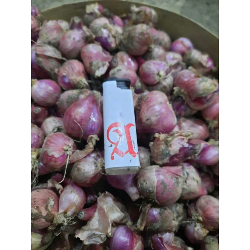 

Bawang Merah Murah
