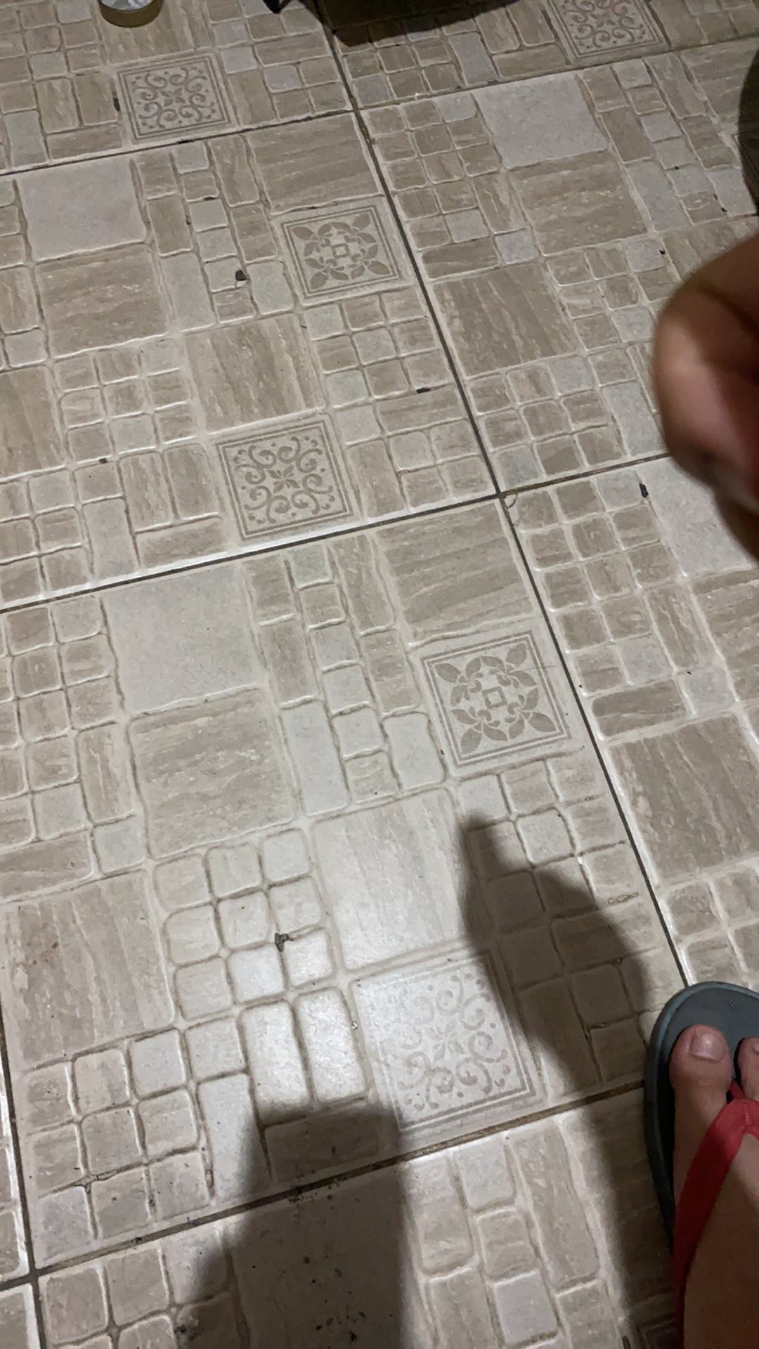 Lion Star - Gayung Mandi / Gayung Mandi Keramik