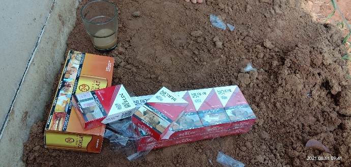 Sumber Jambu 16 Basra Int 16