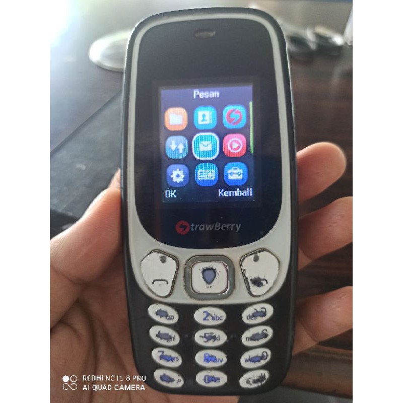 hp jadul strawberry dual sim st338