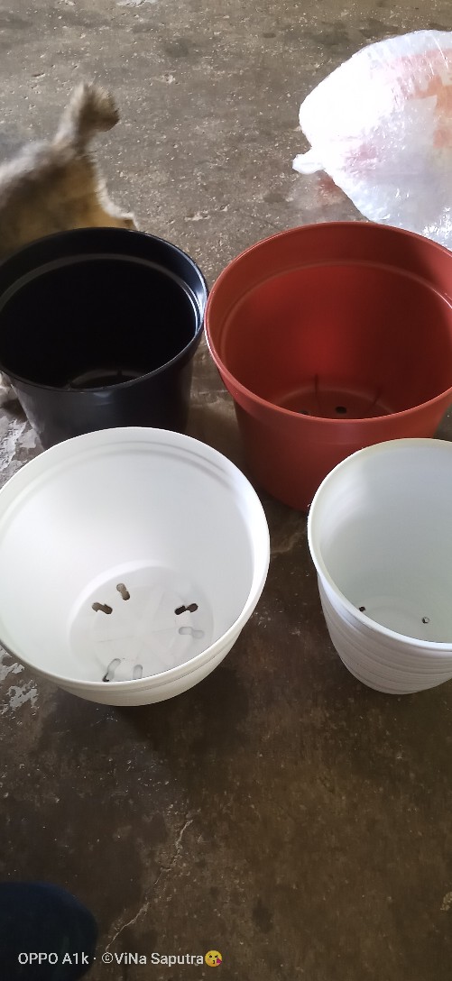 Pot Bunga Tanaman 15 Cm Hitam Merek Made Indonesia Free Bubble Ketentuan Berlaku