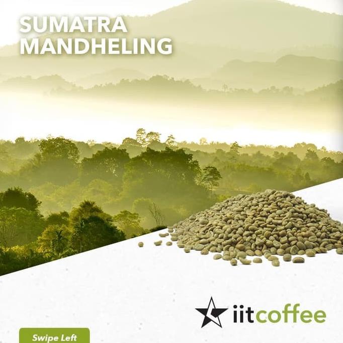 

Arabica Green Beans - Sumatra Mandheling