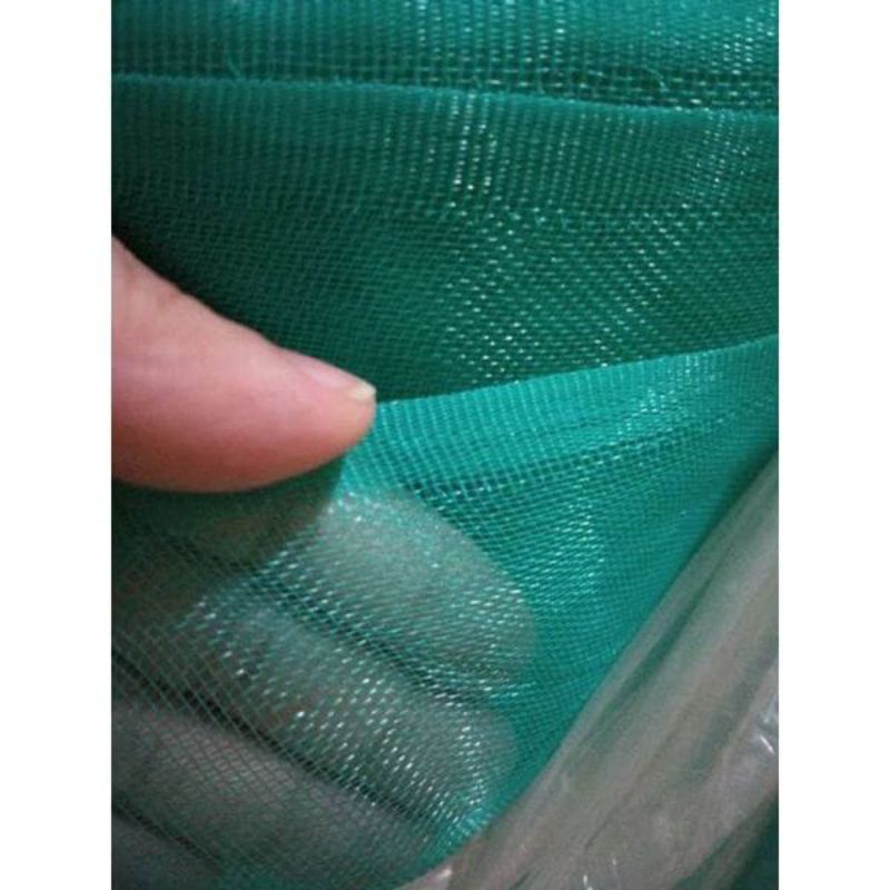 Kandang Lalat BSF 212