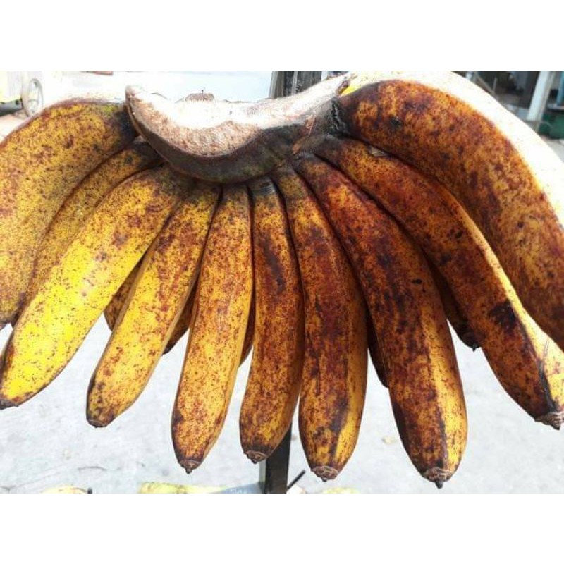 

pisang barangan medan
