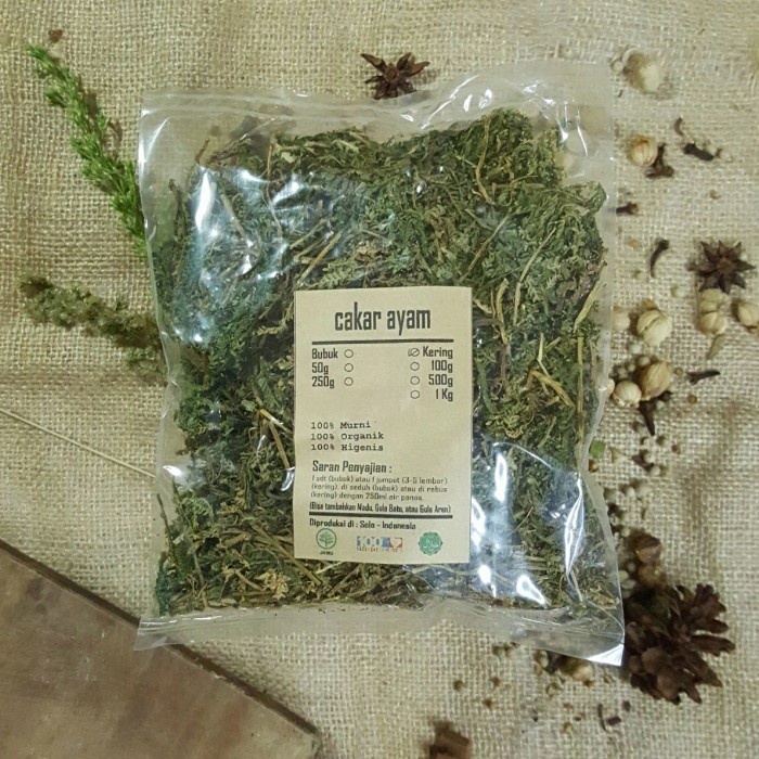 

CAKAR AYAM KERING 500 GRAM - Selaginella doederleinii - MURNI