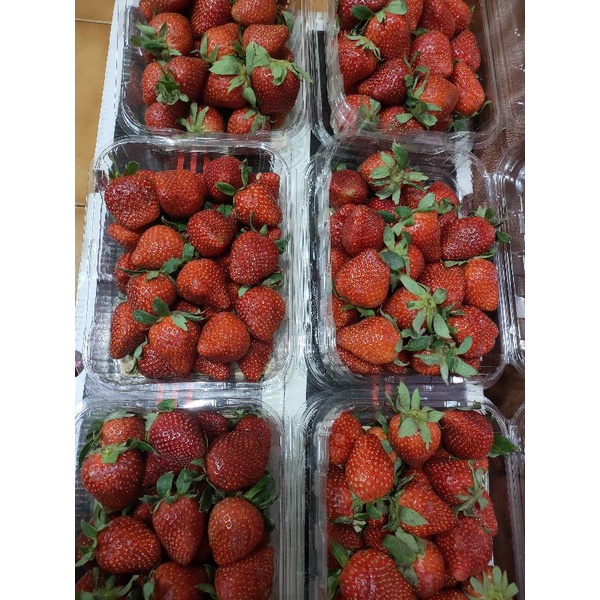 

strawberry lokal grade A