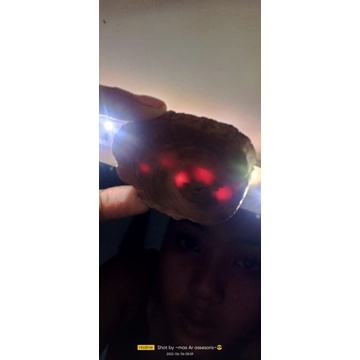 bahan lempeng kayu RAJA tembus senter