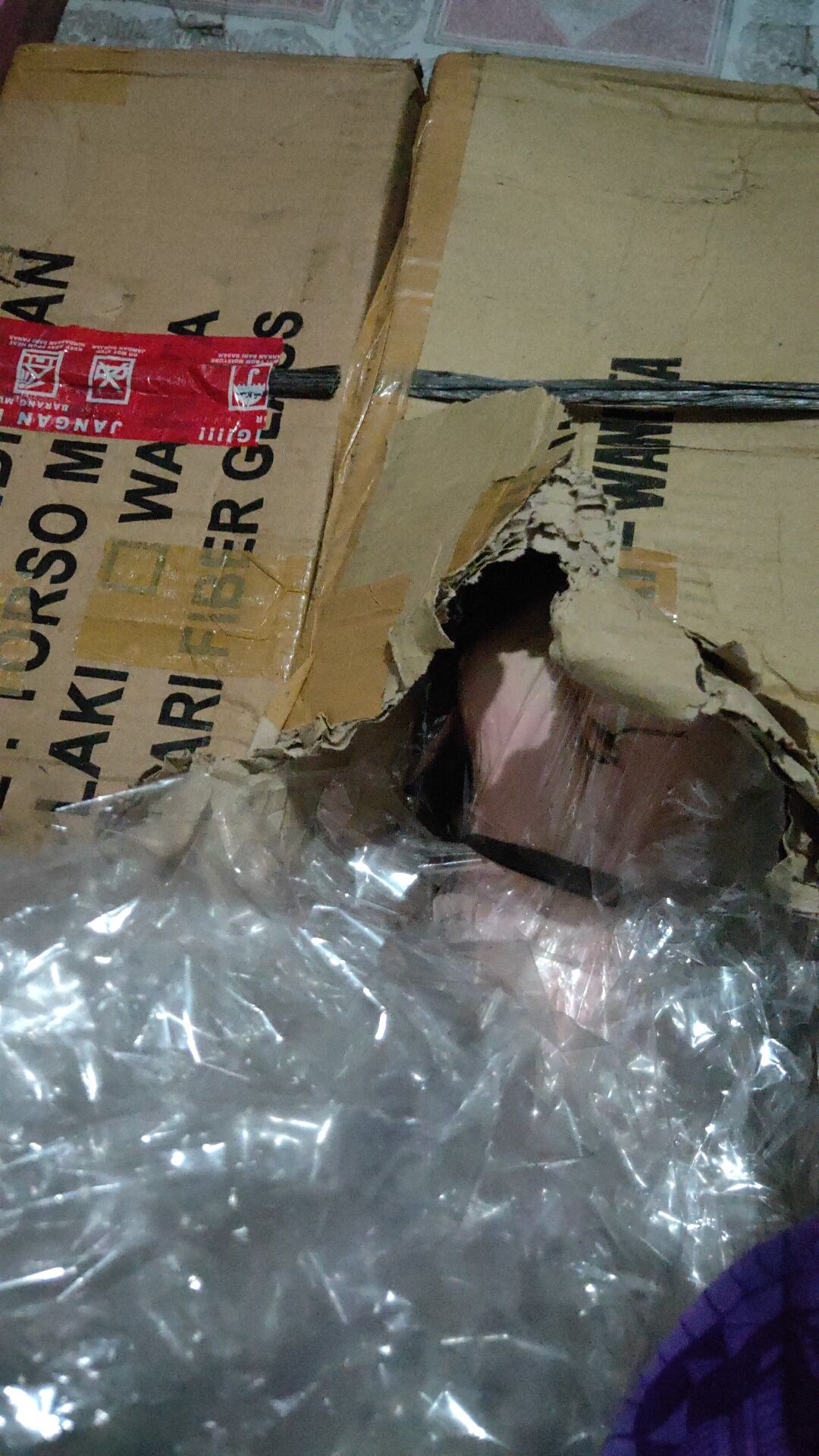 Saranaperaga - Torso Anatomi Manusia Wanita / Perempuan Uk Mini - Alat Peraga Sekolah Ipa