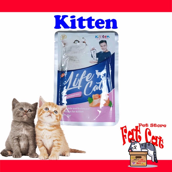 LIFE CAT KITTEN POUCH / SASET Makanan Kucing All Variants (85gram