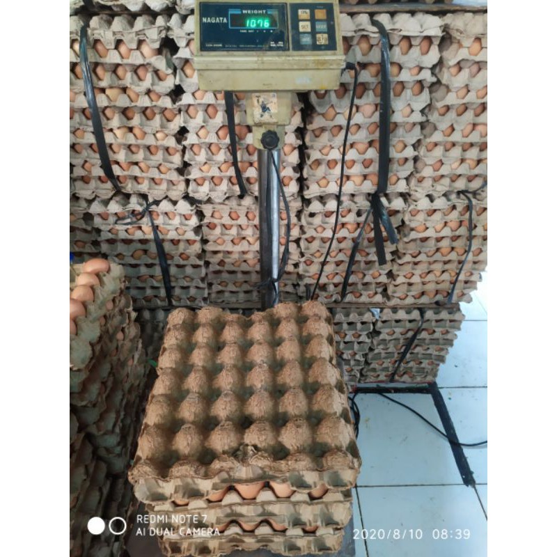 

RB Telur Ayam Negri 30 Butir