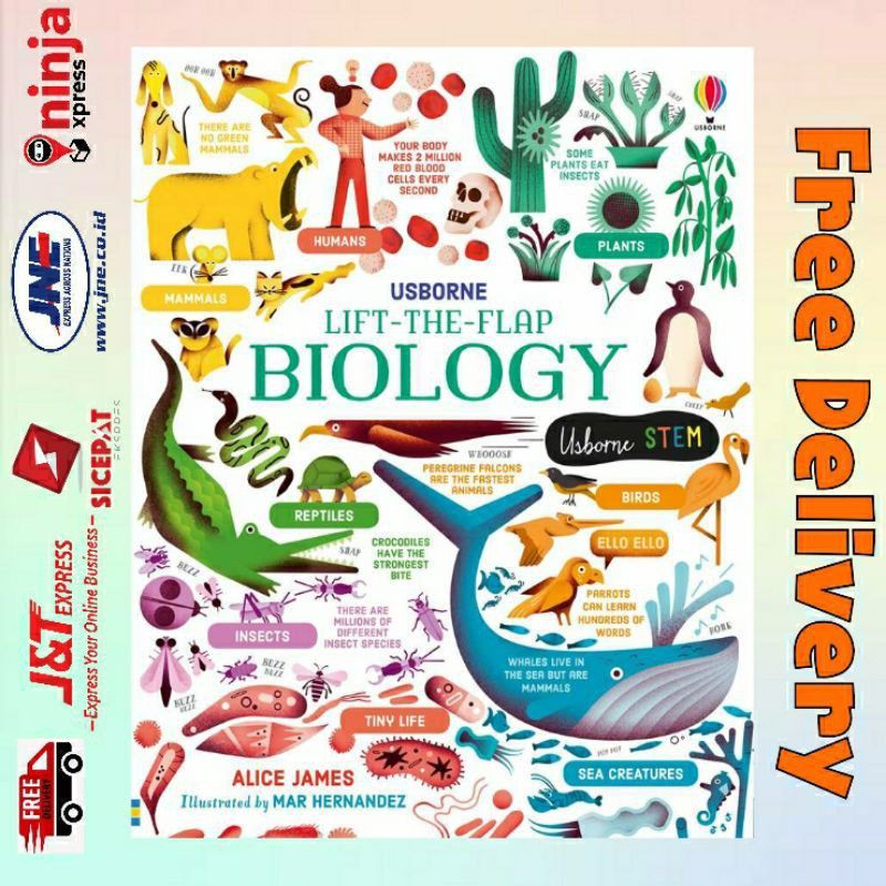 Usborne Lift-the-Flap Biology
