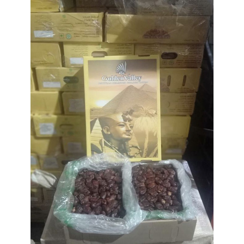 

Kurma Mesir Golden Valley 10 kg Harga Grosir