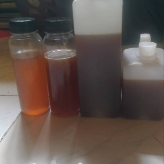

Madu Trigona/ Lanceng