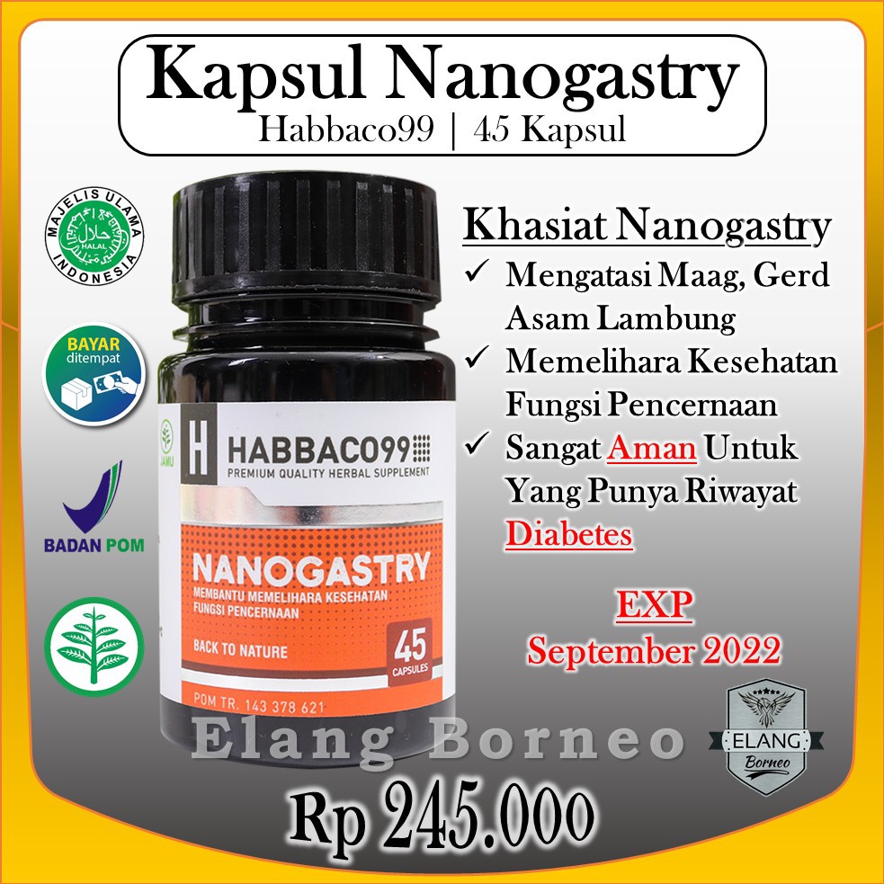 Nanogastry Habbaco99 Obat Herbal Asam Lambung Tinggi Maag Kronis Dan Gerd Aman Diabetes Shopee Indonesia