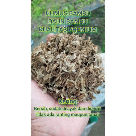 humus daun bambu / media tanam premium / humus daun bambu bersih dan kering