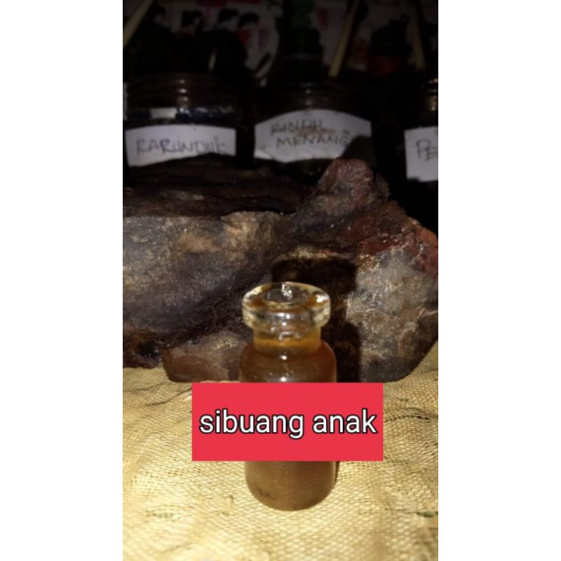 

Minyak sibuang anak, asli dayak kalimantan