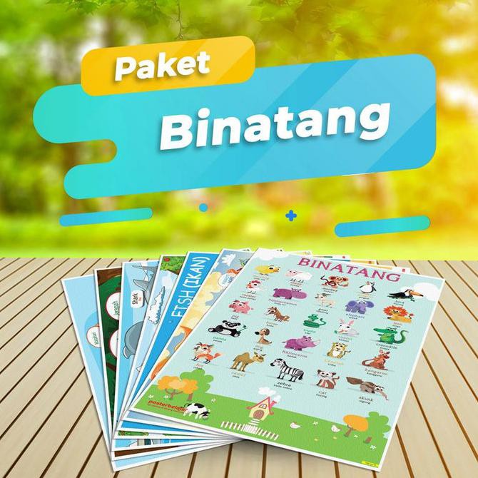 NEW PAKET BINATANG Poster Pendidikan Belajar Mengenal Hewan untuk Anak BERKUALITAS