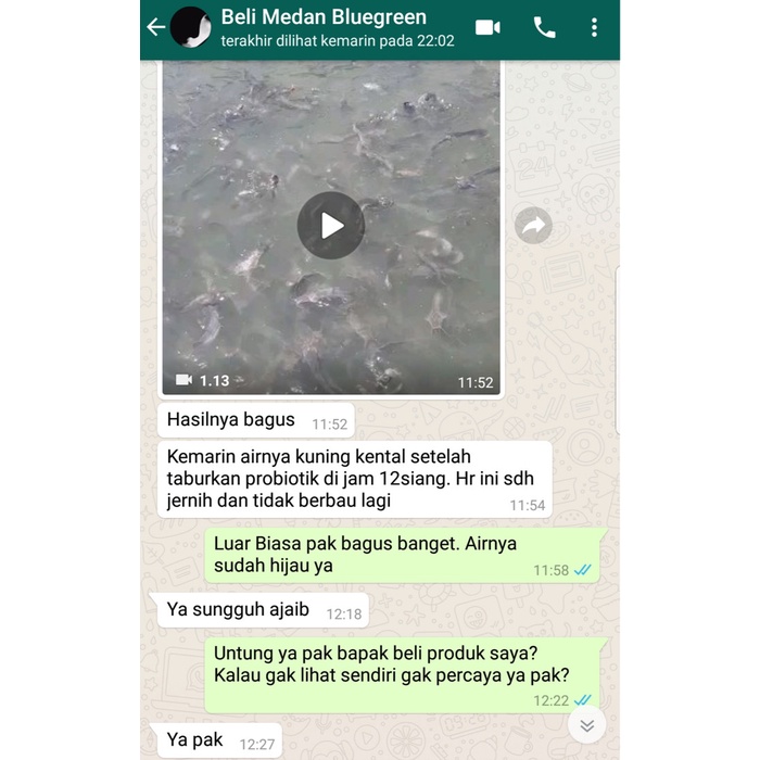 Obat Ikan Lele Stres Kurang Nafsu Makan Menggantung