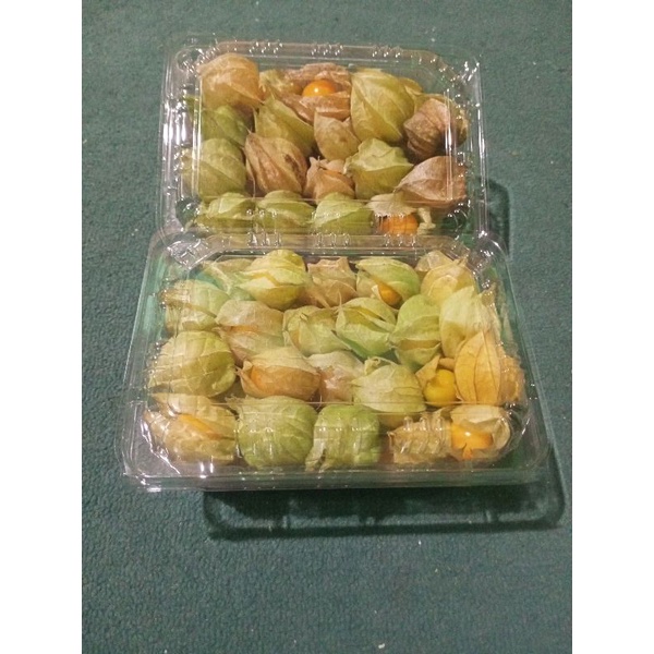 

ciplukan/cecenet/golden berry fresh 100gram