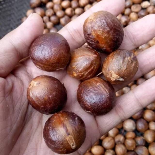 

Buah pala /biji pala kering 1 kg