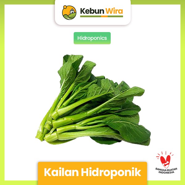 

Kailan Hidroponik 200 gram Kebun Wira