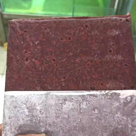 cacing darah beku lempeng 1 kg (GRAB & GOJEK)