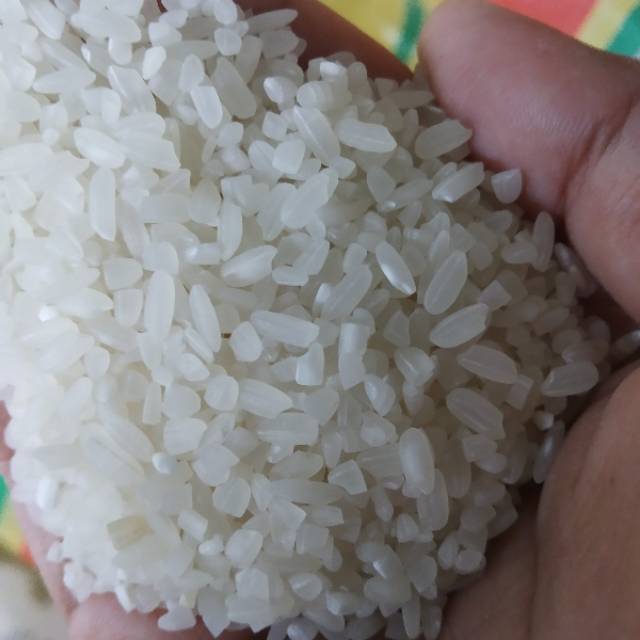 Beras Mentik Wangi 5 Kg Semarang Indonesia