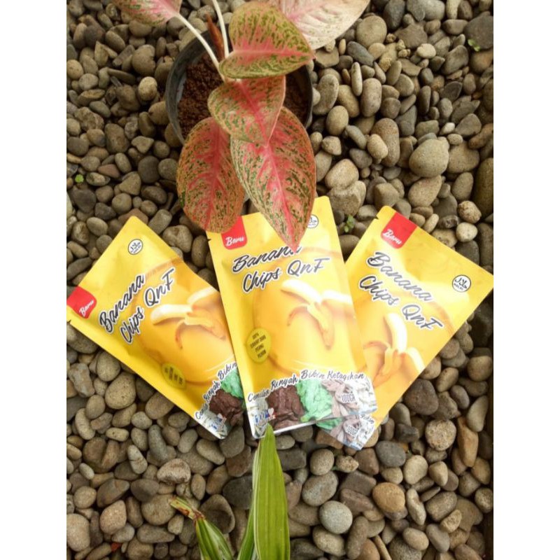 

BANANA CHIPS QnF