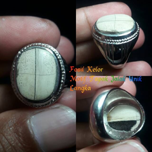 TAPAK JALAK FOSIL KELOR UNIK LANGKA PILIHAN ASLI ALAMI