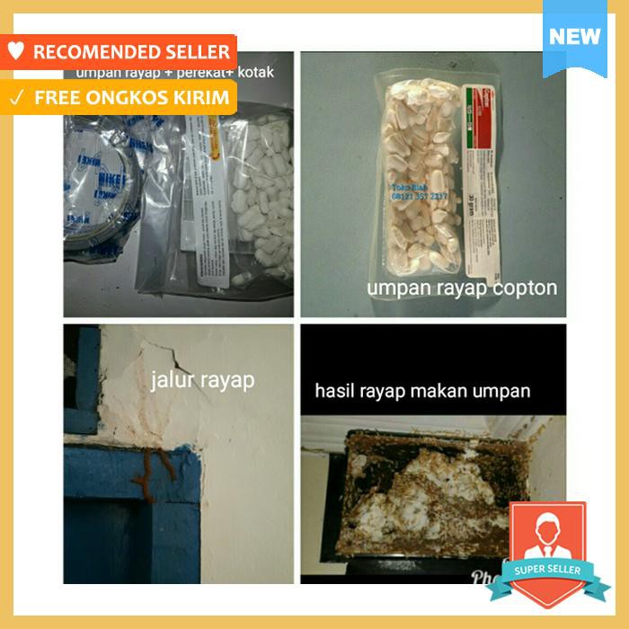 Umpan Rayap Copton Basmi Hingga Ratu Rayap