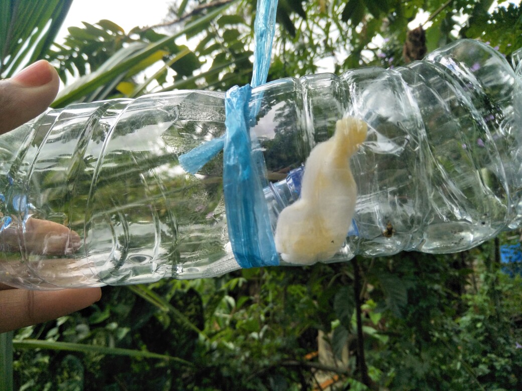 Polybag Polibek Polybeg 40x40 Cm Per Lembar