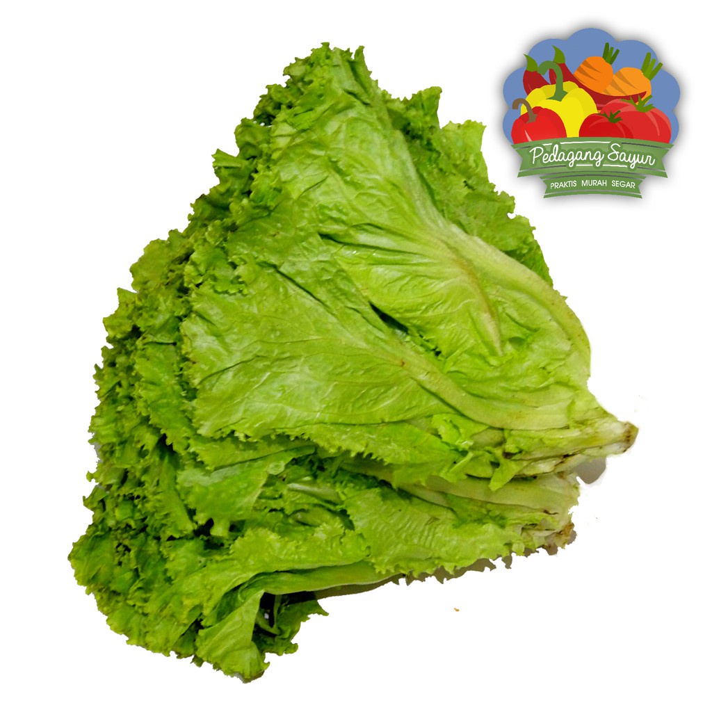 

Selada Keriting / Bokor - 250 Gram