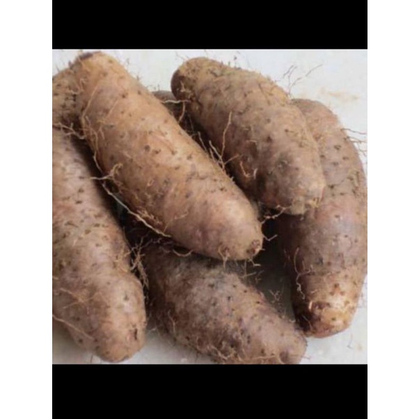 

GEMBILI BERKUALITAS 1 KG