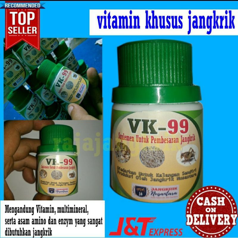 vitamin jangkrik