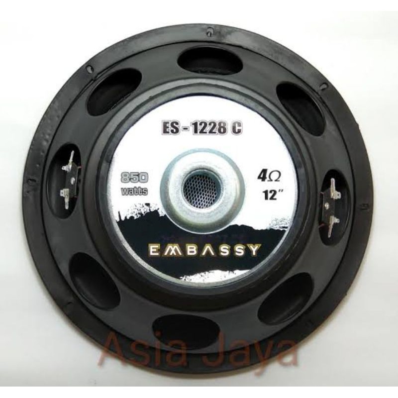 subwoofer 12inch Embassy