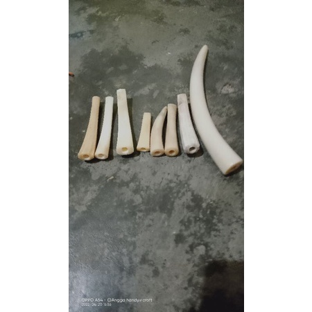 iga duyung semi belimbing ,pucukan