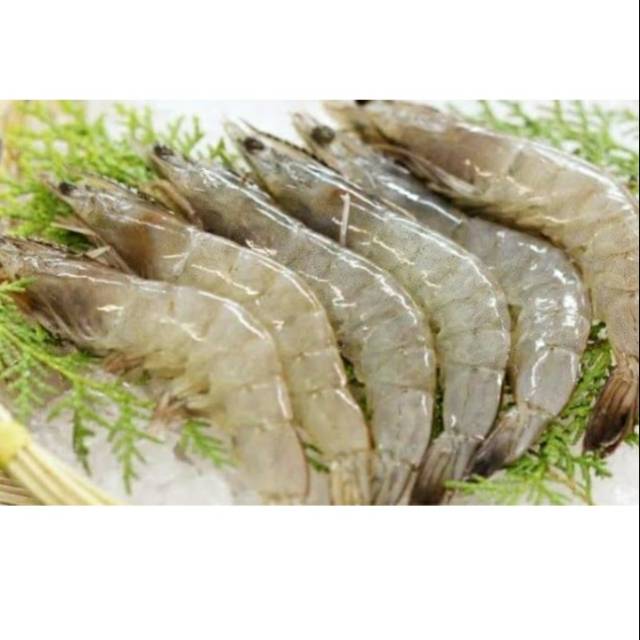 

Udang vaname fresh per 500 gram isi 30-35