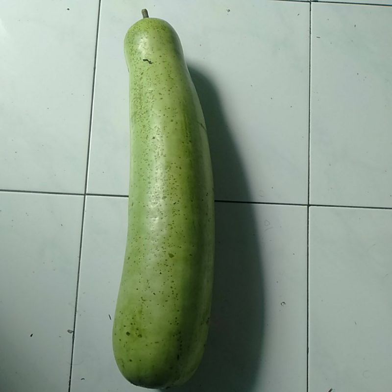 

Sayur Blonceng Labu panjang