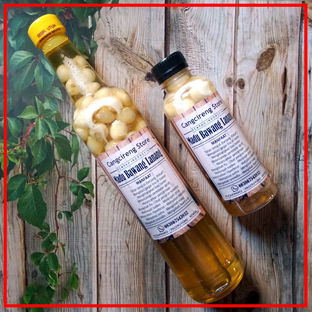 

Madu bawang Lanang - Madu bawang tunggal