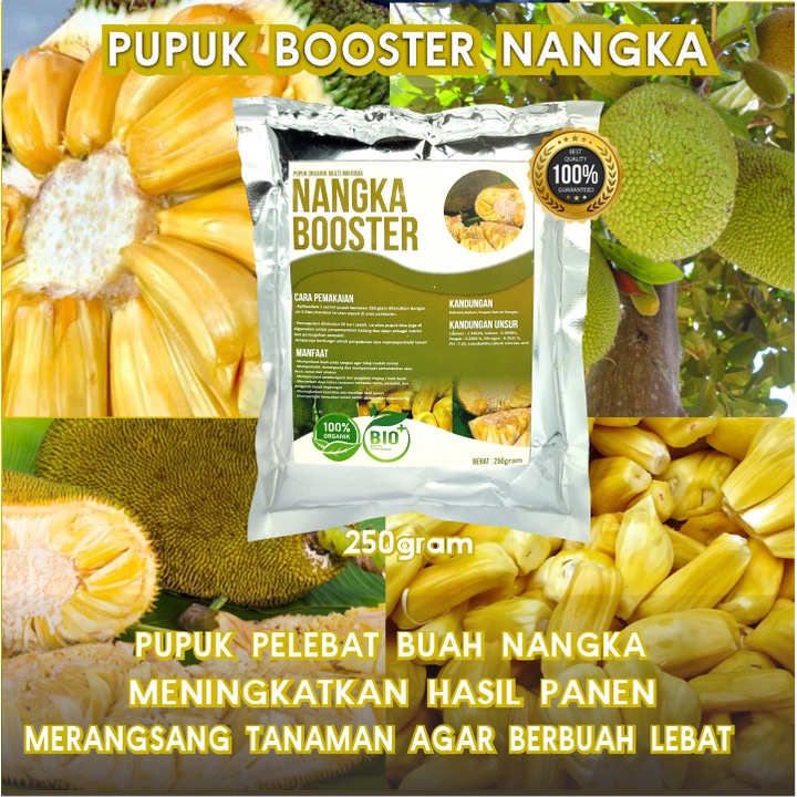 Pupuk Organik Pelebat Booster Nangka Perangsang Buah Nangka , Pupuk Pelebat Buah Nangka berkualitas 