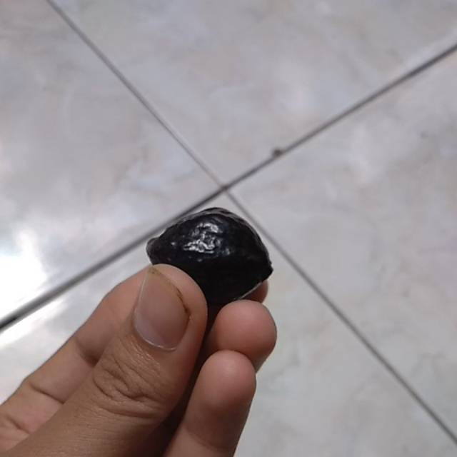 Muncang adu jenis yanti