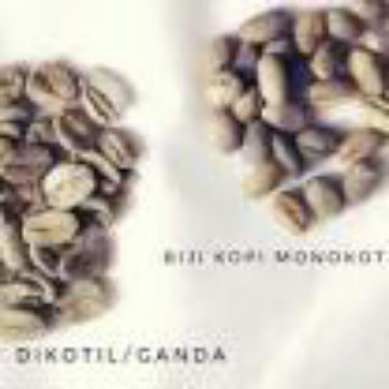 

kopi jantan/kopi lanang/kopi tunggal/biji kopi/kopi jawa
