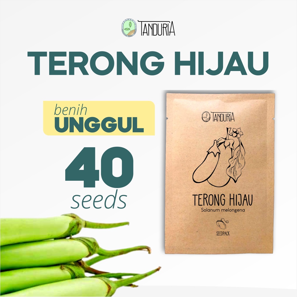 TERONG HIJAU