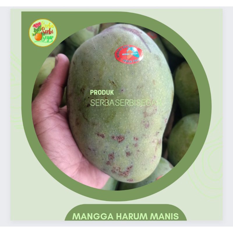 

MANGGA HARUM MANIS