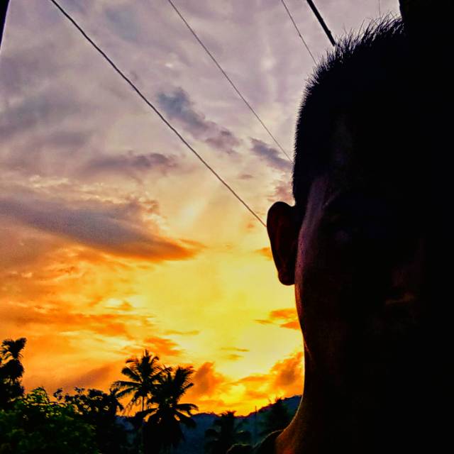 dhanz1119